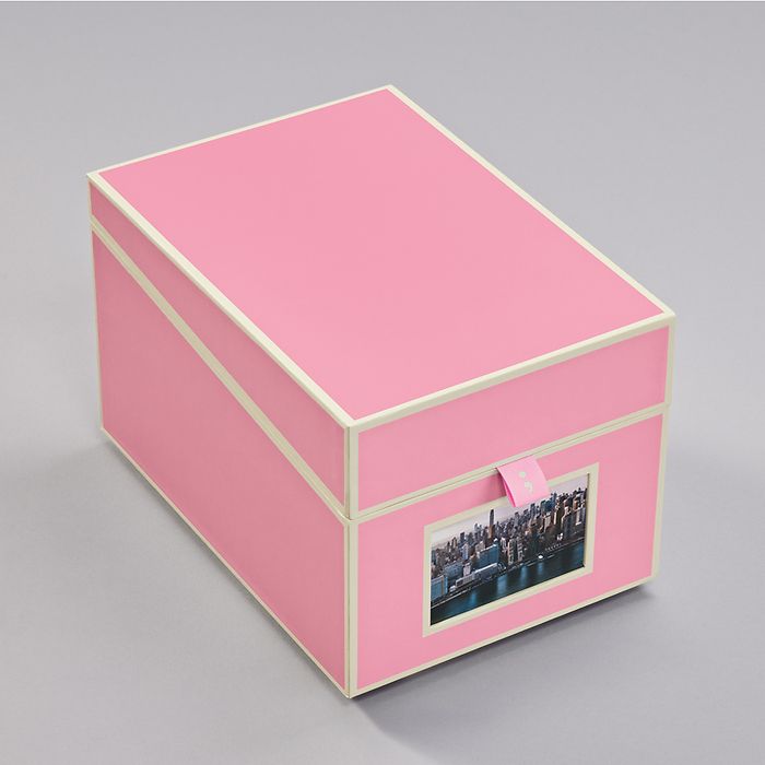 Photograph Box, flamingo