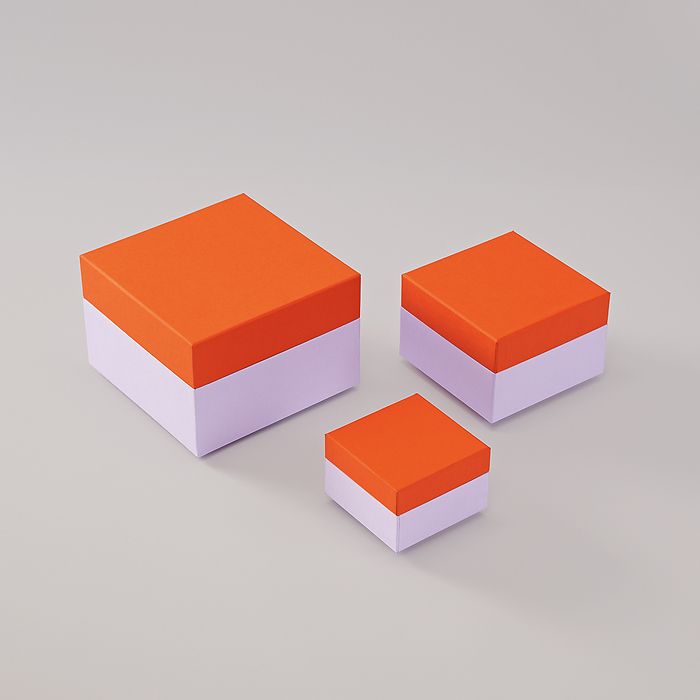 Box CUTTING EDGE Tangerine Lavender L