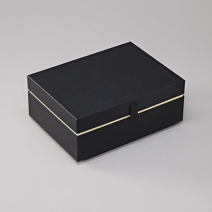 Premium Storage Box, One Line, Large, black